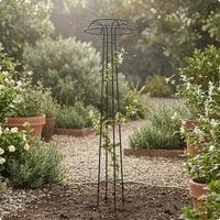 Tall Fungus Top Trellis Cross Braces Metal Climbing Trellis Tapered Frame Garden Structure Decorative Design for Courtyard