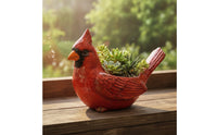 Avian Planter Carved Bird Pot Glazed Container for Plant Lovers, Gardeners, Windowsill, Patio