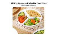 Porcelain Finish 3-Compartment Plate Glossy Surface Round Divided Plate Low Dividers