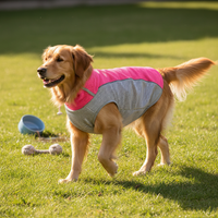 Pet Cooling Vest Breathable Summer Dog Apparel for Heat Relief