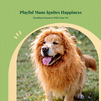 Pet Lion Mane Wig, Funny Dog Costume, Halloween Accessory