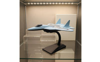 Highly Detailed Alloy Fighter Jet Model Drop Resistant Pull Back Airplane for Collectors, Kids