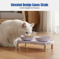 Ceramic Cat Food Bowl, Double Bowl, Anti-Spill, High Edge, Raised Stand, For Cats
