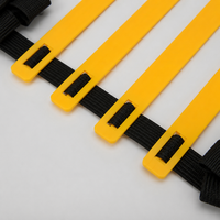 Training Ladder 6m 12 Steps Soccer Training Set Agility Explosive Power Improvement PE-made Triangular Cone With Marker Cones