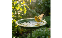 Bird Bath Feeder Bowl Iron Art Vintage Bird Bath Stand Rustic Design for Backyard