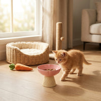 Ice Cream Cone Pet Bowl Easy to Clean Detachable Pet Bowl Whisker Friendly Raised Cat Food Dish