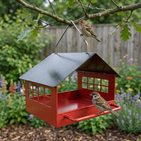 Hanging Bird Feeder Outdoor Bird Feeder with Perch Sturdy Decorative for Nature Lovers, Garden, Backyard