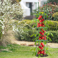 Garden Stakes for Sturdy Plant Support, Coated Steel Plant Stakes for Potted Plants, Half Round Tomato Cage 2-Pack, Easy Assembly Decoration