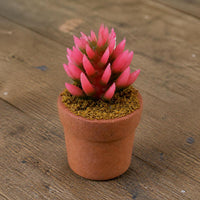 Miniature Potted Succulent Plants for Dollhouse & Micro Landscape Decor