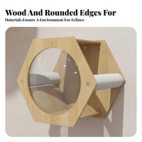 DrillDrillless Installation surfaceMounted Cat Dome Space-Saving Design Cat Climbing Shelf Set Transparent Viewing Dome Pet Furniture customizable System for Apartment Dwellers, Living Room, Bedroom, Indoors