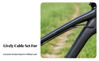 Universal Bike Cable Housing Kit Colorful Options Universal Bike Cable Set Cold and Heat Resistant for Cyclists, DIY Enthusiasts, Workshop, Garage