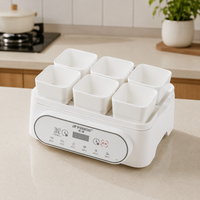 electric food steamer