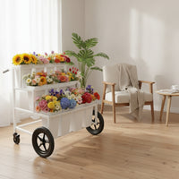 Mobile Flower Cart with Buckets Sturdy Flower Cart with Wheels Outdoor Indoor for Florists