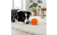 Textured Interactive Dog Ball Durable Interactive Pet Ball Lightweight for Fetch
