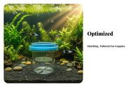 Buoyant Breeder Box 2 Chamber Design Buoyant Aquatic Creature Hatchery Box Baby Aquatic Creature Hatchery High Clearness Guppy