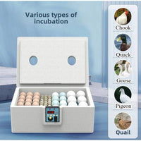 Water Bed Egg Hatchery Constant Temperature Small Egg Hatcher Air Circulation System Household Fowl Hatchery for Hobbyists, Beginners, Classroom