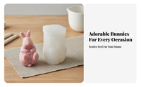 Bunny Plaster Ornament Cast Easter Bunny Cast Reusable for DIY Enthusiasts, Parents, Home Decoration, Gift Making