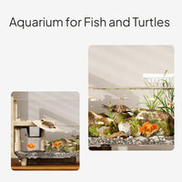 Glass Aquatic Terrarium for Turtles and Fish
