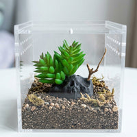 Stable Freestanding Plants and Reptile Foliage, Bearded Lizard Tank Accessories, Insect Vivarium Decor for Desert and Tropical Enclosures