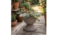Decorative Metal Planter with Birds Distressed Scalloped Planter Pot Weathered Plant Holder Rustic for Gardeners