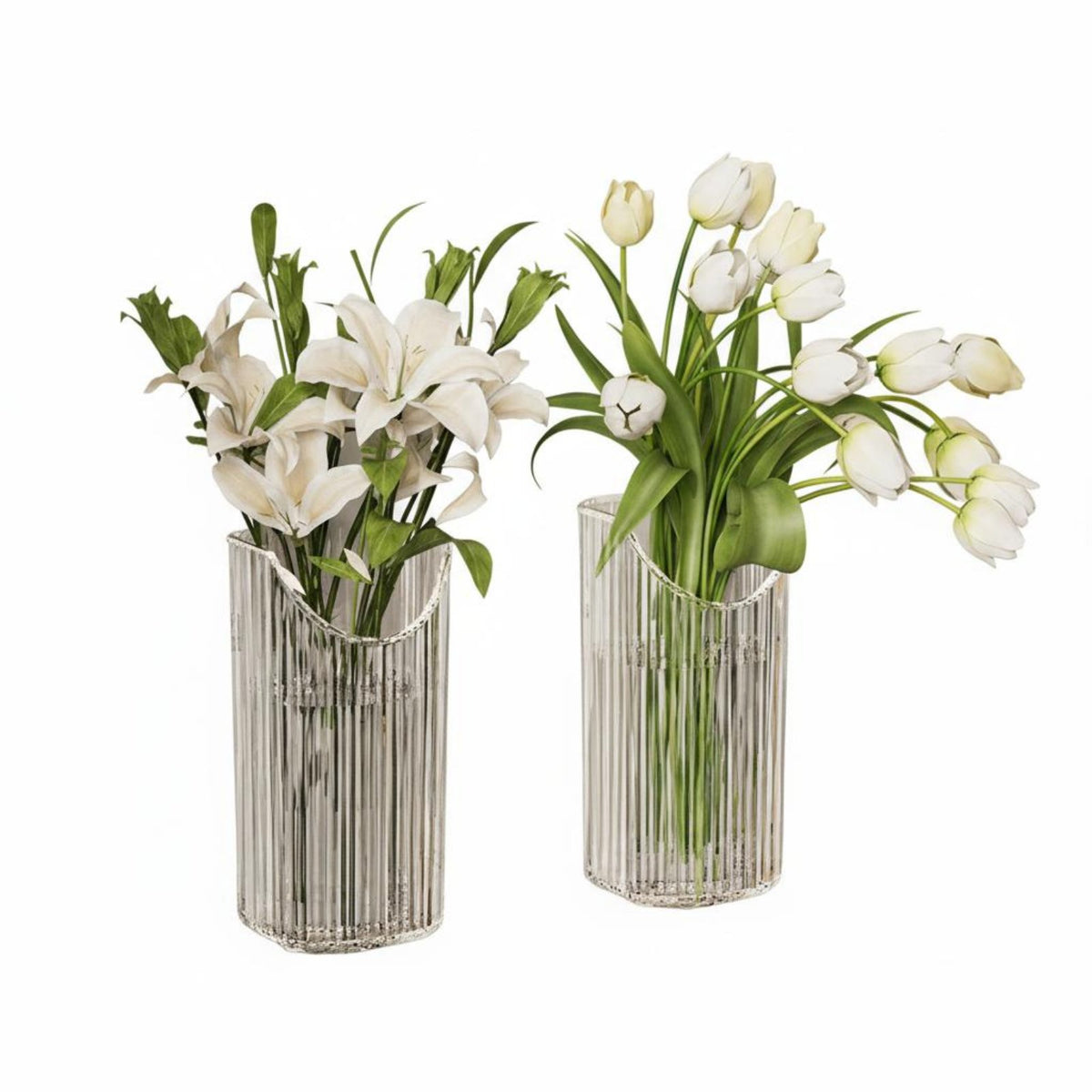 Hydroponic Friendly Clear Ribbed Plant Pocket Transparent Design Wall Planter Space Saving Hanging Vase Easy Installation for Apartment Dwellers, DIYers, Living Room, Hallway, Bedroom, Balcony
