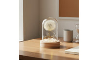 Gift Idea Floral Crystal Ball Lamp Decorative Accent Floral Dome Lamp Delicate Design Glass Dome Night Light LED Lighting for Desktop, Bedside