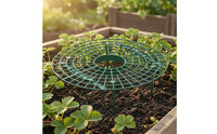 Keeps Berries Above Ground Strawberry Growing Rack Sturdy Plastic Strawberry Growing Frame Sturdy Design Fruit Plant Holder Reusable for Potted Plants