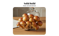 Realistic Toadstool Model Highly Detailed Simulation Toadstool Clear Texture