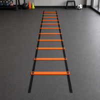 agility ladder