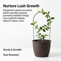 Indoor Plant Trellis, 30cm Heart Stainless Steel Trellis for Climbing Plants, Metal Plant Support for Vining Houseplants