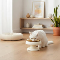 Stainless Steel Feline Feeder Anti-Tip Raised Feline Bowl Non-Slip