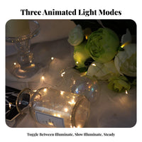 Battery-Operated Wire Light Miniature light-emitting diodes Decorative Lighting Safe contact-friendly