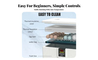 Water Bed Egg Hatchery Constant Temperature Small Egg Hatcher Air Circulation System Household Fowl Hatchery for Hobbyists, Beginners, Classroom