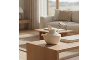 Ceramic Vase Handmade Artistic Vase Asymmetrical Vessel for Living Room