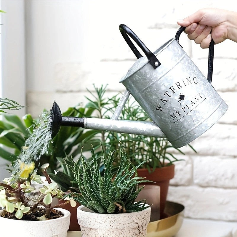 Traditional Iron Watering Can with Thickened Design