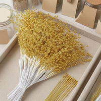 50 Pieces Bead Sprig 24 Cm Pearl Floral Pick DIY Decoration Beaded Stem Spray
