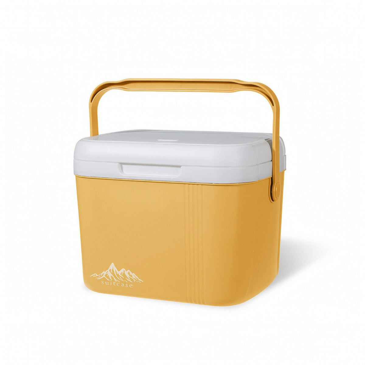 Portable Cooler with Temperature Display Insulated Cooler Box with Ice Bags Hard-Sided Bag Compact for Campers, Picnickers, Camping, Picnics, Car Travel