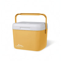 Portable Cooler with Temperature Display Insulated Cooler Box with Ice Bags Hard-Sided Bag Compact for Campers, Picnickers, Camping, Picnics, Car Travel