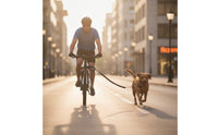 Adjustable Dog Bike Leash with Shock Absorber Sturdy Bike Leash with Shock Absorber Strong Comfortable for Cyclists