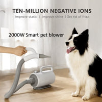 Adjustable Temperature Dog and Cat Hair Dryer Quick Dry High Velocity Pet Dryer Low Noise Design Pet Grooming Blower Smart LED Press Panel for Home Groomers