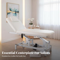 Skincare Procedure Bed Remote Control Electric Facial Massage Table Comfort-Focused Adjustable Massage Table for Beauticians, Spas, Spa