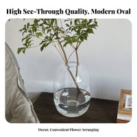 Minimalist Design Glass Flower Vase Elegant Design Oval Glass Vase Classic Shape for Home Decorators, Homeowners, Showroom, Tabletop, Office