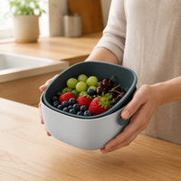Pasta Strainer with Bowl, Rectangular Strainer Bowl Set 26x23.5x11.6cm, Double-layer Fruit Vegetable Strainer for Washing and Draining