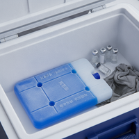 Ultra-Low Temperature -42°C Ice Pack for Medical Cold Chain Transport