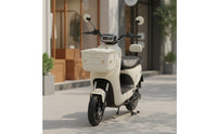 Electric Bike Basket Long-Lasting Bike Basket with Lid Wear-Resistant Universal for Commuters, Grocery Runs, Daily Errands