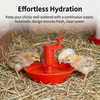 Automatic Cup Chicken Water Dispenser Polymer Chick Drinker, Cage-Mounted Poultry Water Feeder, Easy Clean Red/White/Blue