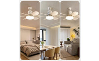 Screw-in Socket Fan Light Detachable Blades Ceiling Fan Light Wireless Controller Controlled 6-Blade for Bedroom, Dining Room