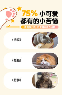 Electric Automatic Cat Toy Interactive Cat Teaser