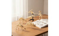 6 Pieces Dinosaur Skeleton Toys Figures Kit Translucent Dinosaur Skeleton Kit Archaeology Model for Kids