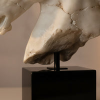 Horse Head Sculpture Resin Horse Head Statue Imitation-Jade Sculpture with Base for Display Shelf